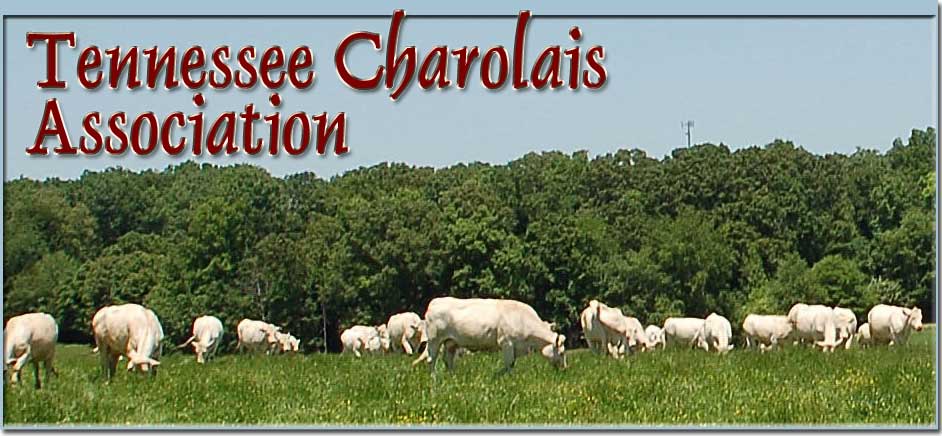 Tennessee Charolais Association